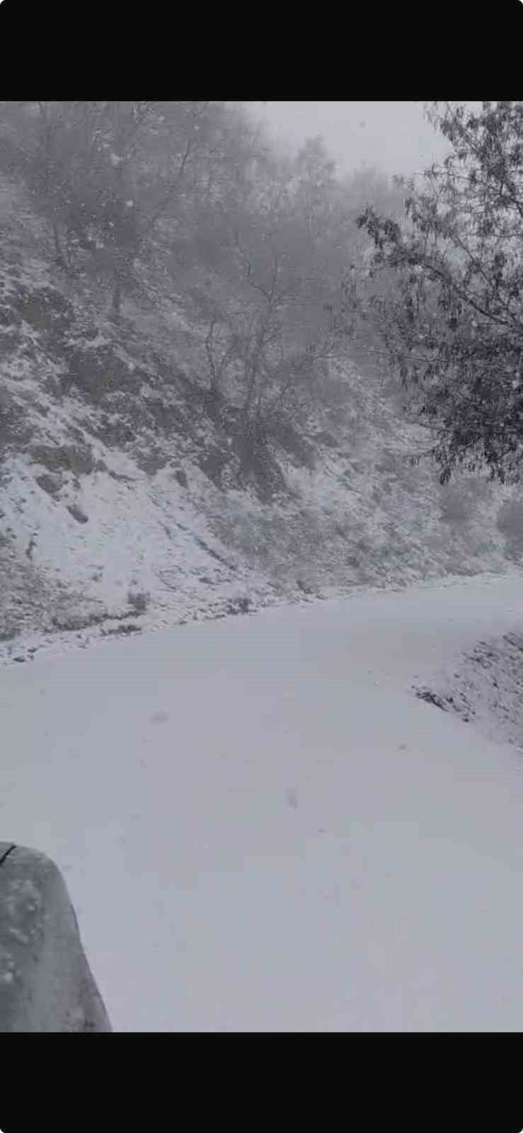 DENİZLİ’NİN BULDAN İLÇESİNDE GEÇTİĞİMİZ YAZ DÖNEMİNDE GÜNLERCE YANAN ORMAN SAHASI KIŞ MEVSİMİNDE...