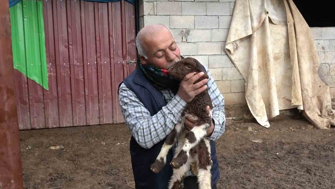 DEPREMZEDE BESİCİ DEVLET DESTEĞİYLE HAYATA TUTUNDU