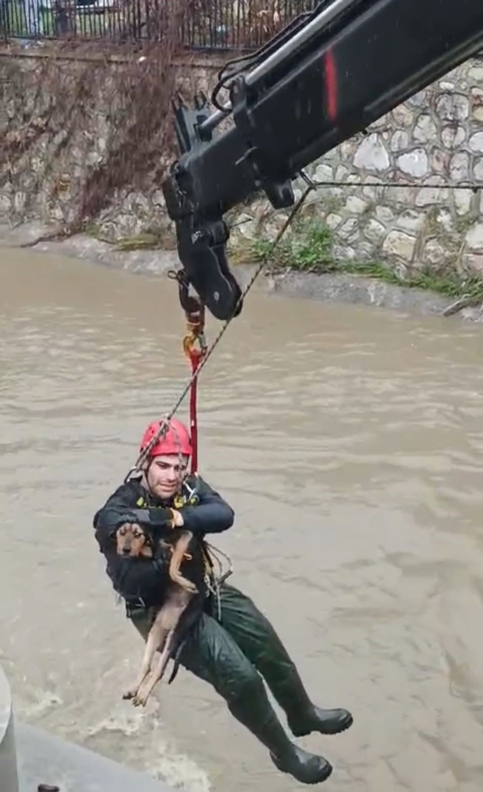 DEREYE DÜŞEN KÖPEK İTFAİYE EKİPLERİ TARAFINDAN KURTARILDI