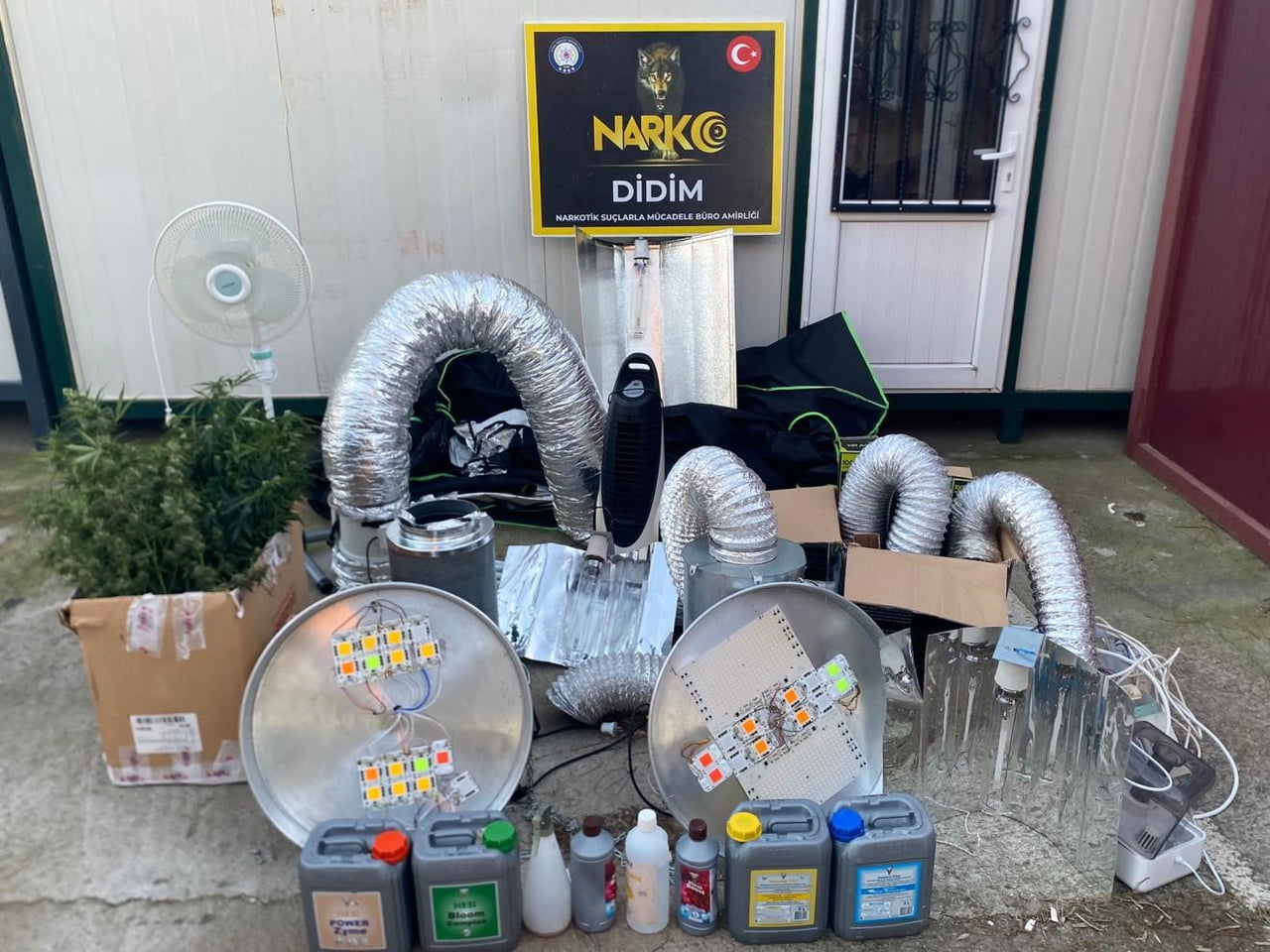 DİDİM’DE UYUŞTURUCU OPERASYONU: KENEVİR SERASI ORTAYA ÇIKARILDI