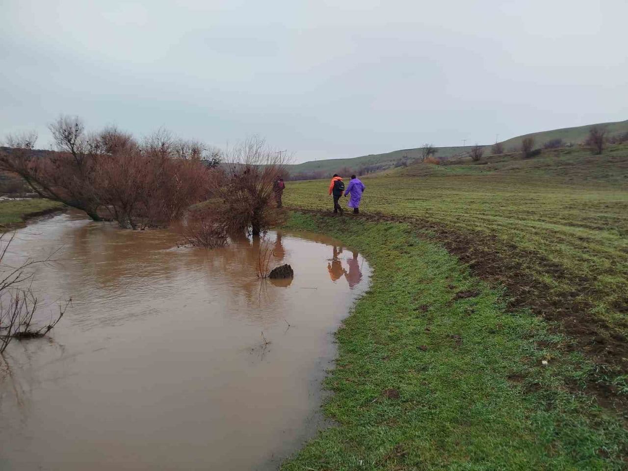 DİYARBAKIR'IN ÇINAR İLÇESİNDE 10 GÜNDÜR KAYIP ŞİZOFRENİ HASTASI 45 YAŞINDAKİ KADIN İÇİN 379 KİŞİ...