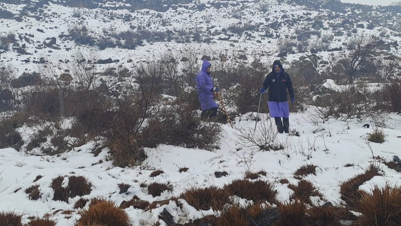 DİYARBAKIR'IN ÇINAR İLESİNDE 8 GÜNDÜR HABER ALINAMAYAN KADINI ARAMA ÇALIŞMALARI DEVAM...