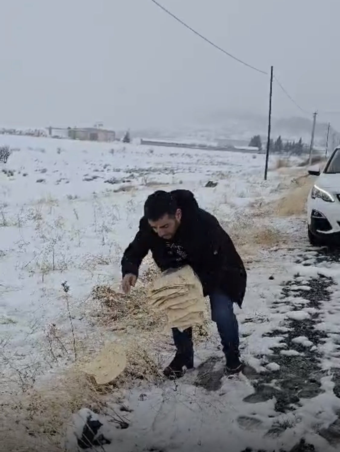 DİYARBAKIR’IN ÇERMİK İLÇESİNDE HAYVANSEVER BİR VATANDAŞ, YABAN HAYVANLARI İÇİN DOĞAYA YEM...