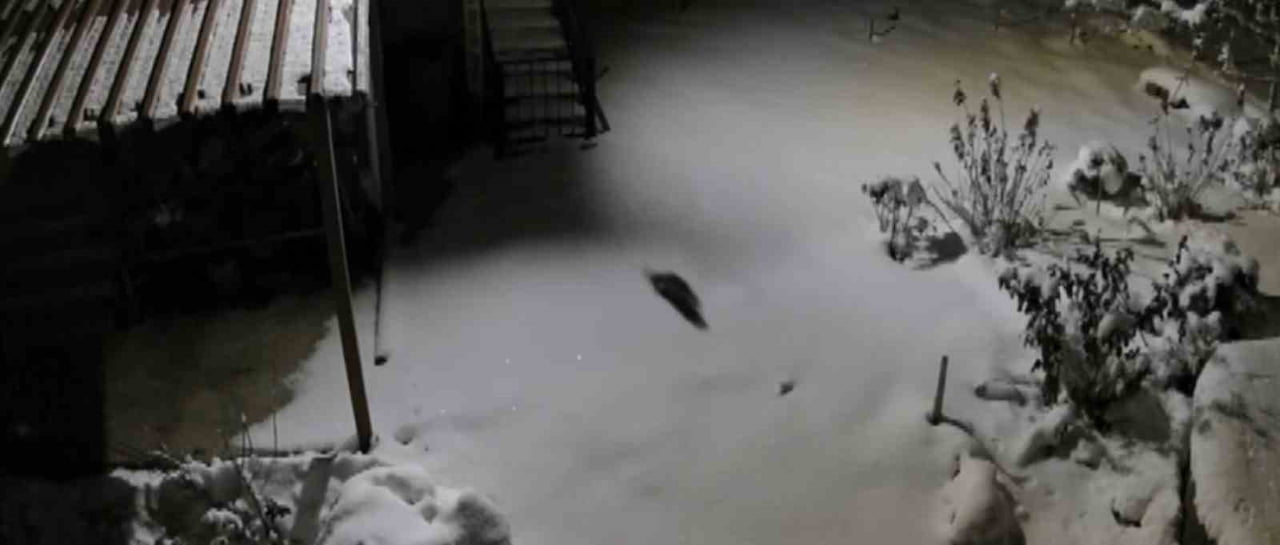 DİYARBAKIR’IN KULP İLÇESİNİ ETKİSİ ALTINA ALAN VE 3 GÜN SÜREN YOĞUN KAR YAĞIŞI, DOĞADAKİ YAŞAMI...