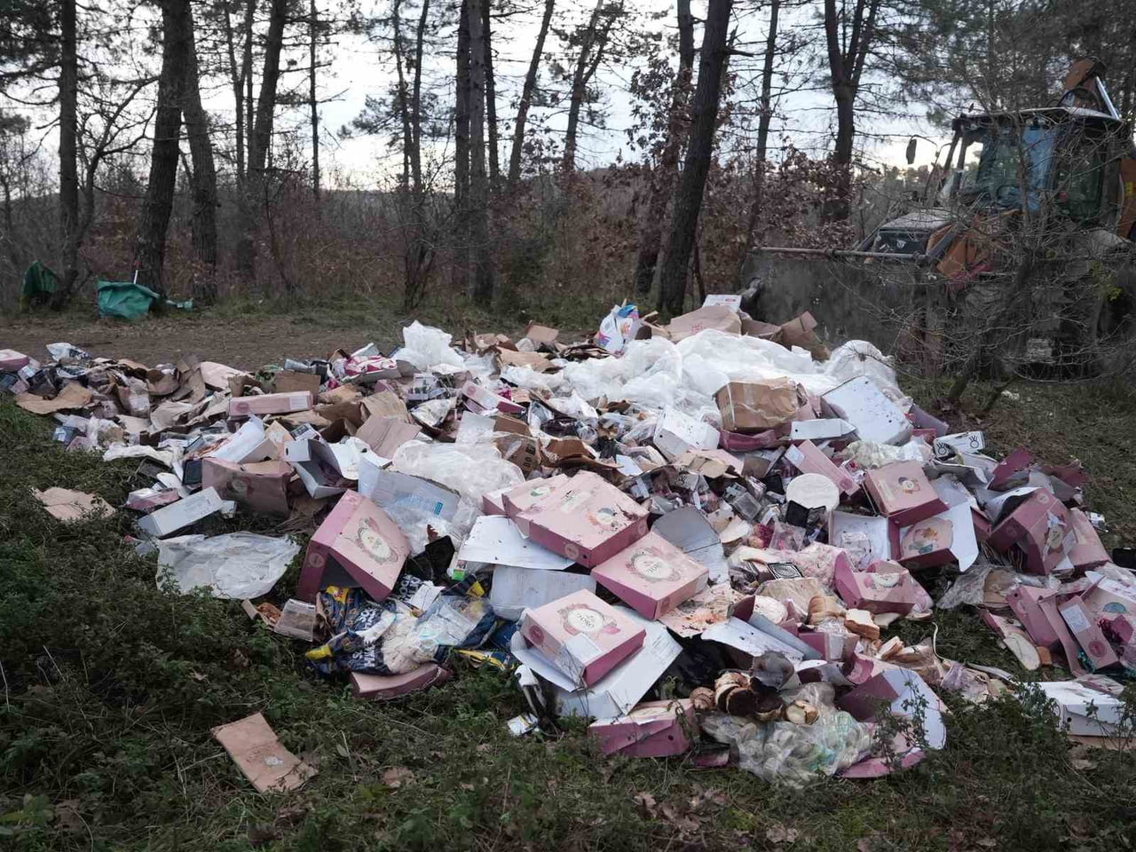 DÜZCE BELEDİYESİ TEMİZLİK İŞLERİ MÜDÜRLÜĞÜ, BAHÇEŞEHİR BÖLGESİNDE BULUNAN KENT ORMANININ KİMLİĞİ...