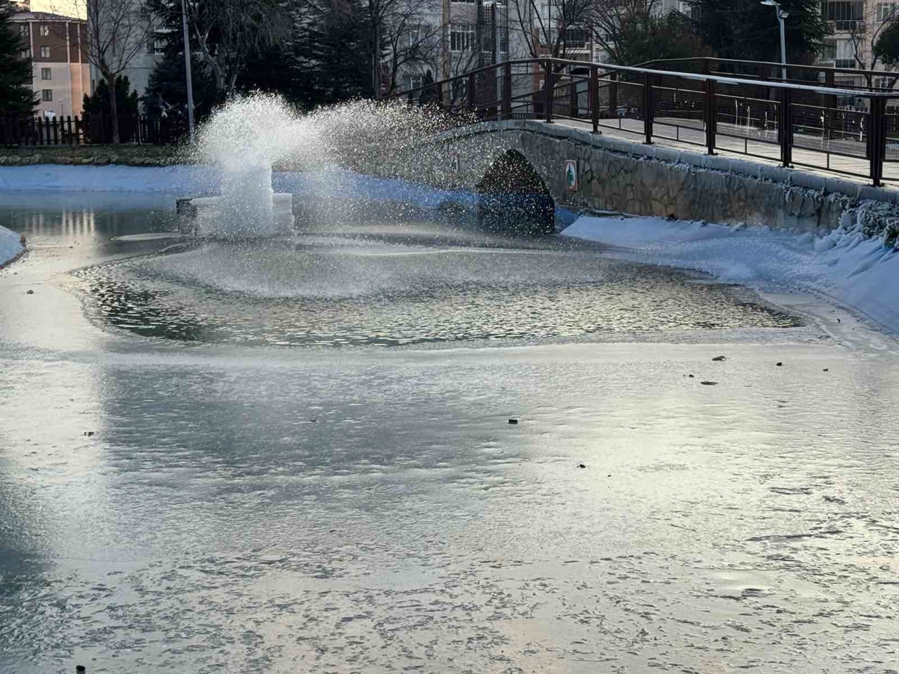 EDİRNE'DE KIŞ, YÜZÜNÜ SERT GÖSTERDİ. HAVA SICAKLIĞININ GECE SAATLERİNDE -5 DERECEYE, HİSSEDİLEN...