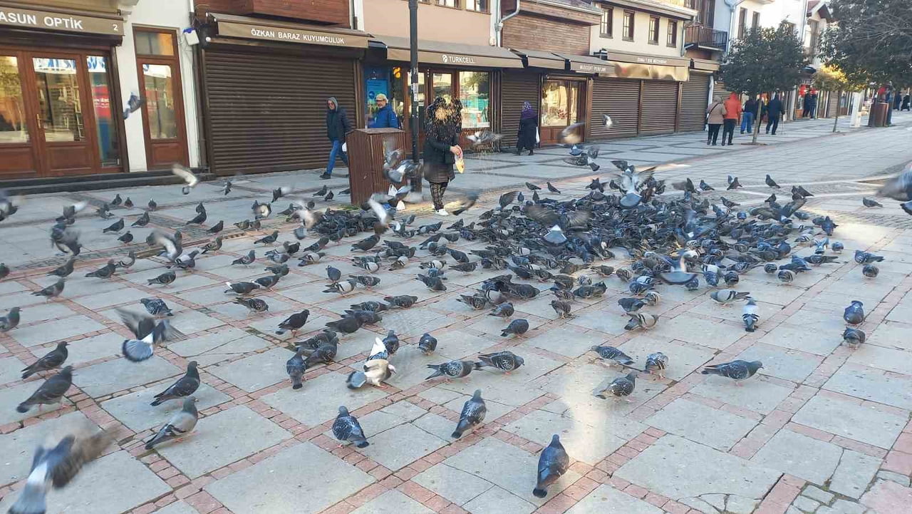 EDİRNE'NİN EN İŞLEK NOKTALARINDAN SARAÇLAR CADDESİ'NDE GÜVERCİNLERİ BESLEYEN 63 YAŞINDAKİ ZELİHA...