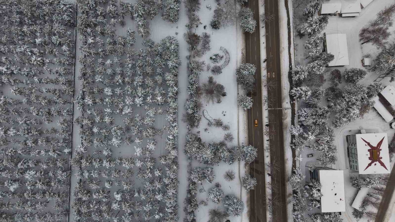 ELAZIĞ’DA KAR YAĞIŞI SONRASI ŞEHRİN KALBİNDEKİ FIRAT ÜNİVERSİTESİ ORMANI VE KÜLTÜR PARK, BİNALARIN...