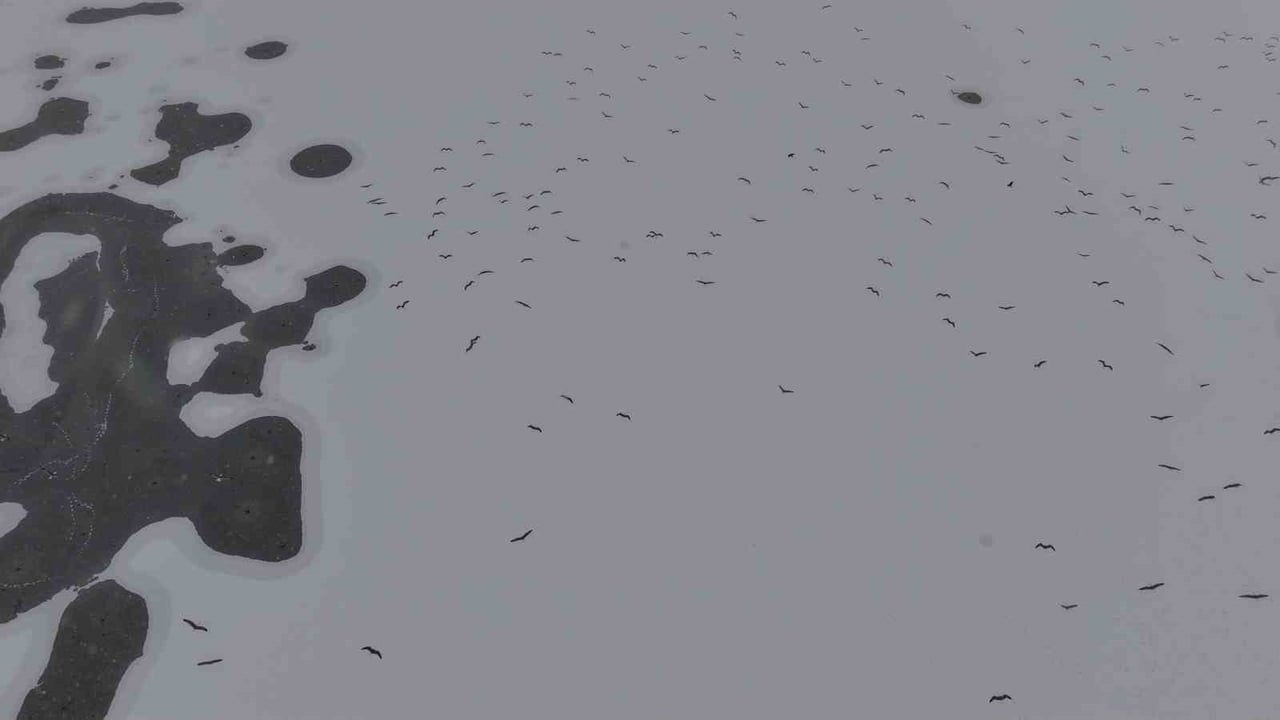 ELAZIĞ’DAKİ CİP BARAJ GÖLÜ ÖNCE TAMAMEN BUZ TUTTU, BİR GÜN SONRA YAĞAN KARLA BİRLİKTE 1,3...