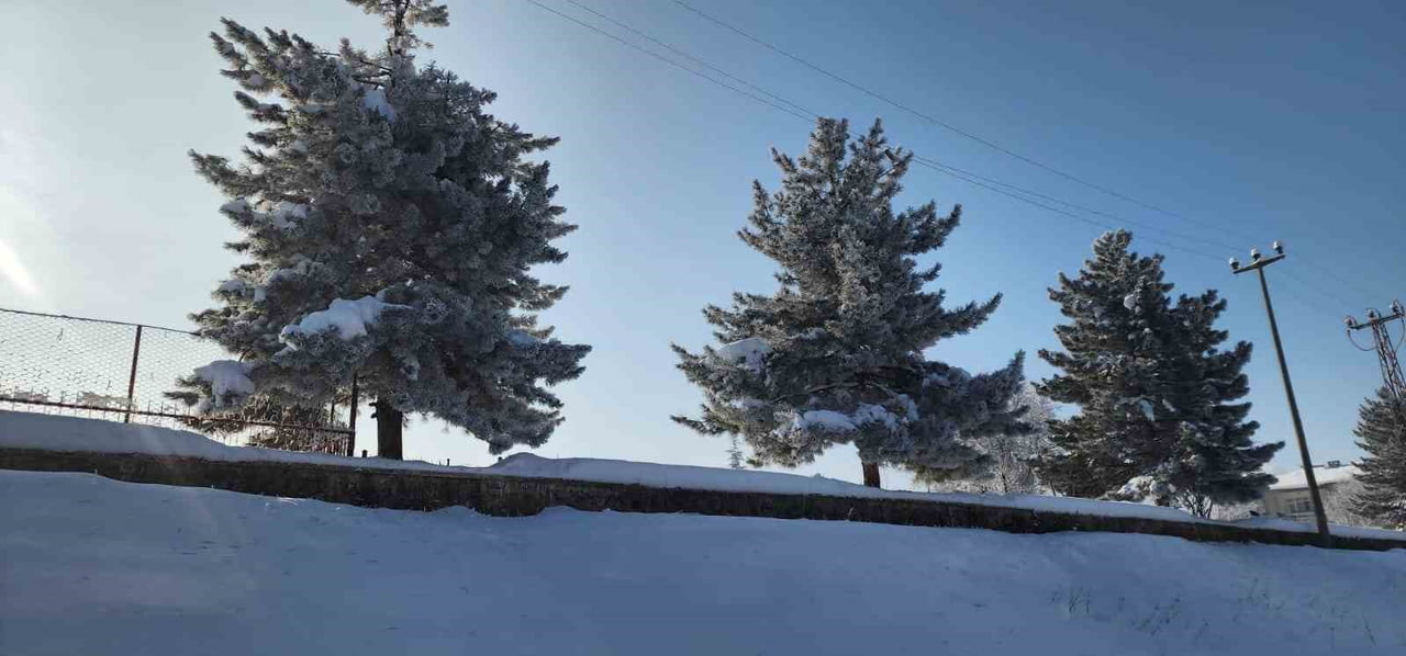 ELAZIĞ’IN KARAKOÇAN İLÇESİNDE HAVA SICAKLIĞININ EKSİ 22 DERECEYE DÜŞMESİYLE DON OLAYI YAŞANIRKEN...