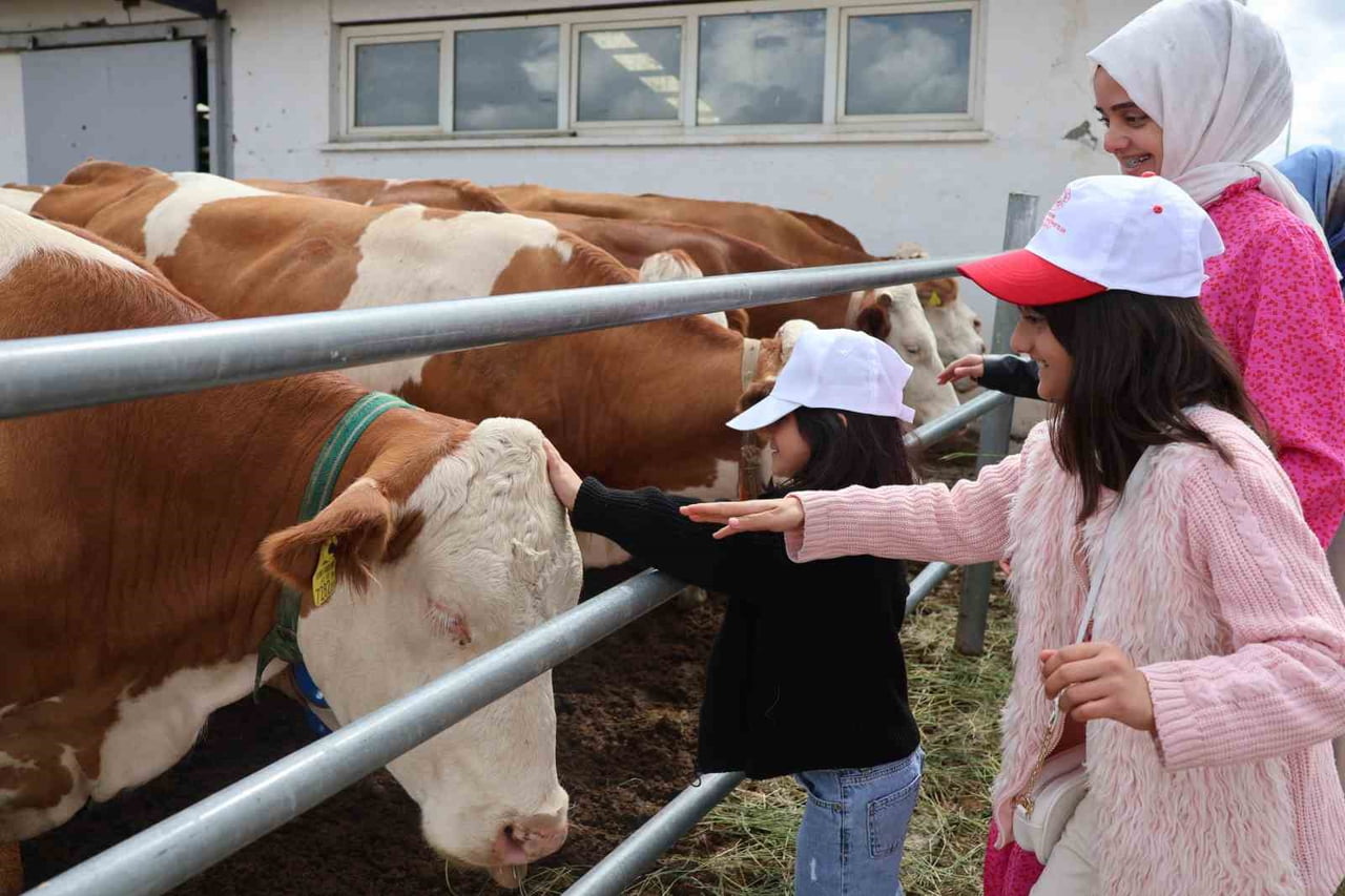 ERZURUM AİLE VE SOSYAL HİZMETLER İL MÜDÜRLÜĞÜ’NÜN 2025 FAALİYET RAPORU YAYIMLANDI.