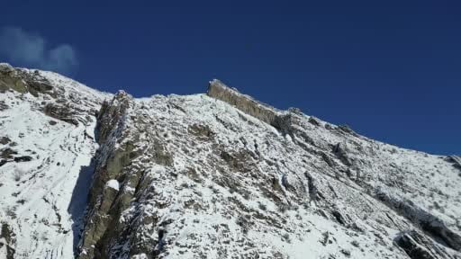 Erzurum’da sakallı akbaba böyle görüntülendi