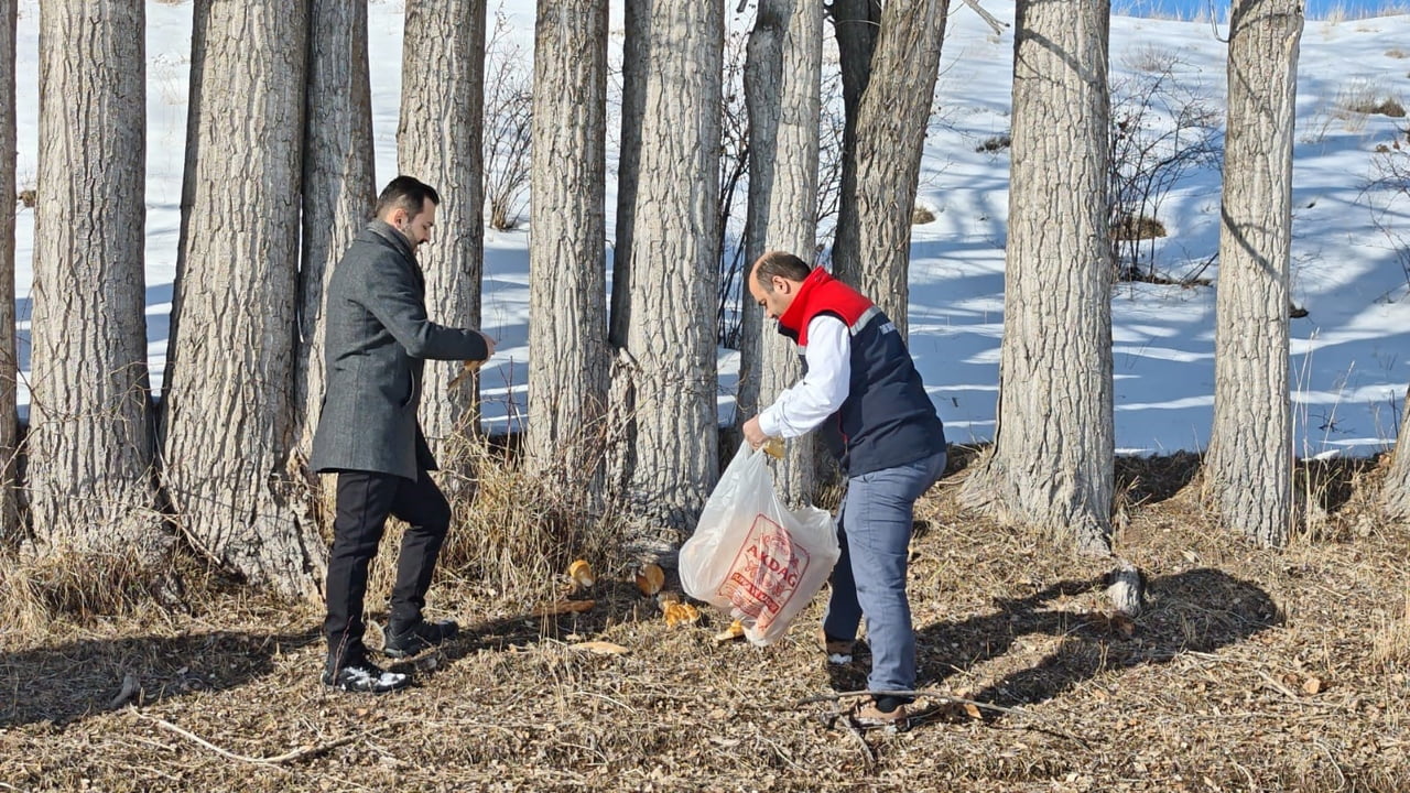 ERZURUM’UN AŞKALE İLÇESİNDE ETKİLİ OLAN DONDURUCU SOĞUKLAR VE AĞIR KIŞ ŞARTLARI, YABAN...