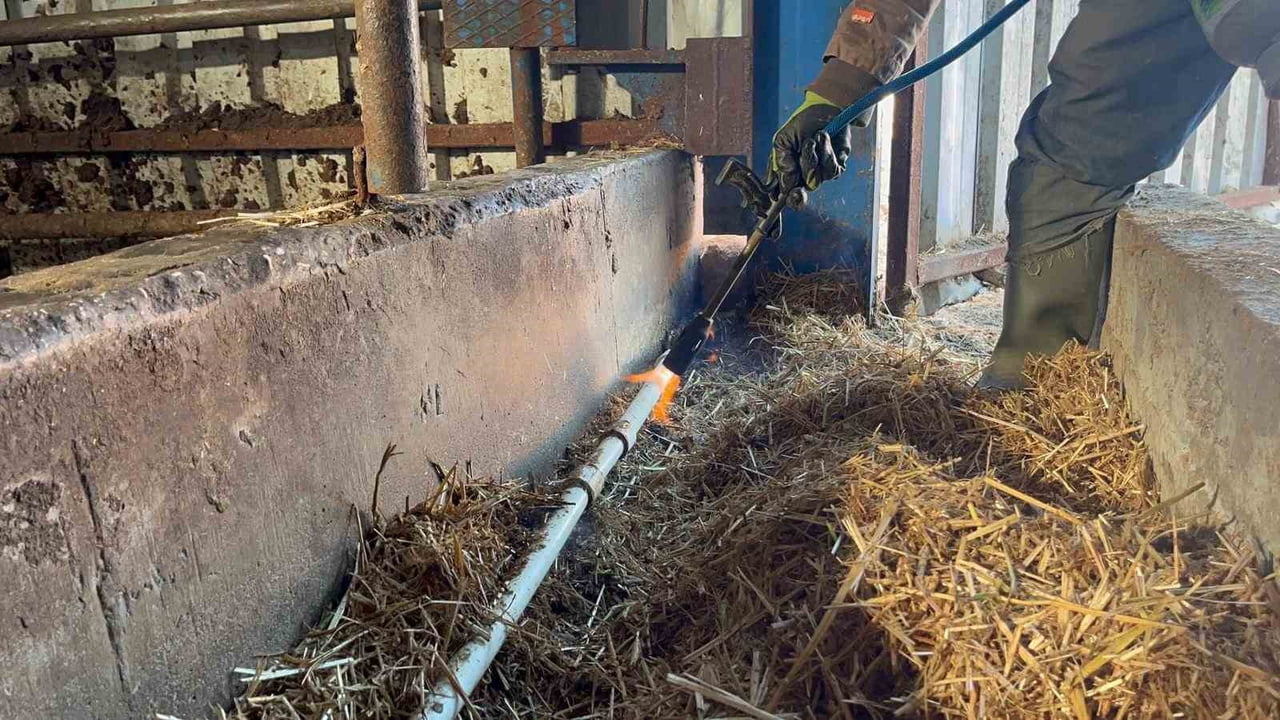 ESKİŞEHİR’DE EKSİ SEVİYELERDE SEYREDEN HAVA SICAKLARINDAN SONRASINDA, SU ŞEBEKELERİ DONAN HAYVAN...