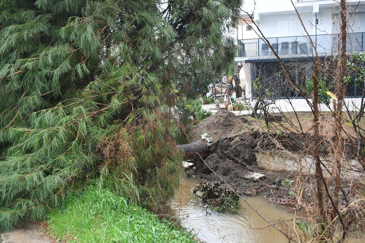 FACİANIN ÖNÜNE GEÇİLDİ