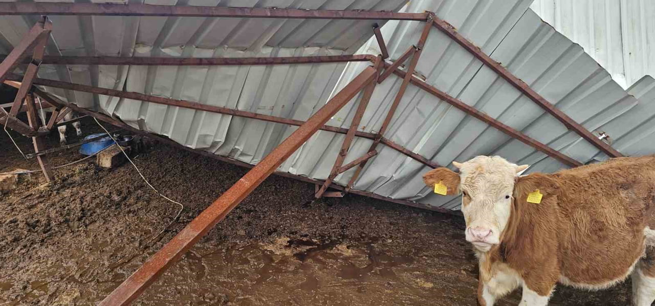 GAZİANTEP’TE YOĞUN KAR YAĞIŞI SONRASI AHIRIN ÇATISI ÇÖKTÜ