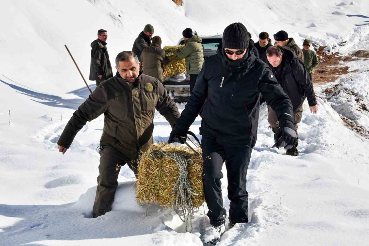 GÜMÜŞHANE VALİSİ AYDIN BARUŞ, YOĞUN KAR YAĞIŞININ ARDINDAN DOĞAL BESİN KAYNAKLARI AZALAN YABAN...