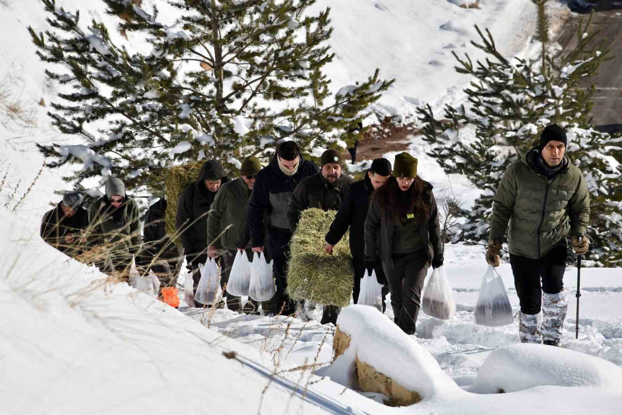 GÜMÜŞHANE VALİSİ AYDIN BARUŞ, YOĞUN KAR YAĞIŞININ ARDINDAN DOĞAL BESİN KAYNAKLARI AZALAN YABAN...