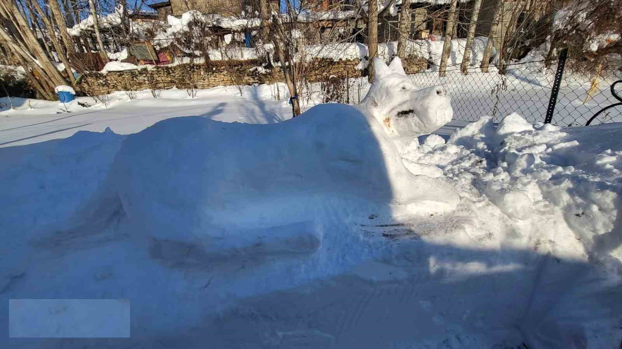 HAKKARİ’NİN YENİ MAHALLESİ’NDE YAŞAYAN BİR GENÇ, KAR YIĞINLARINDAN YAPTIĞI KANGAL KÖPEĞİ FİGÜRÜYLE...