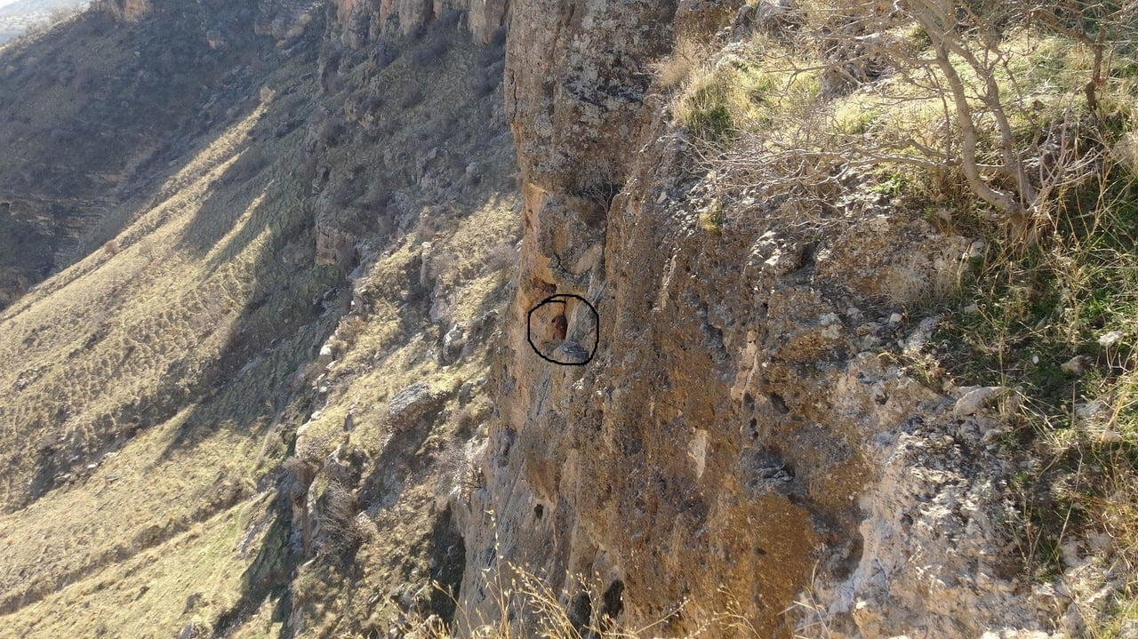 HASANKEYF’TE 5 GÜNDÜR MAHSUR KALAN KEÇİ KURTARILDI