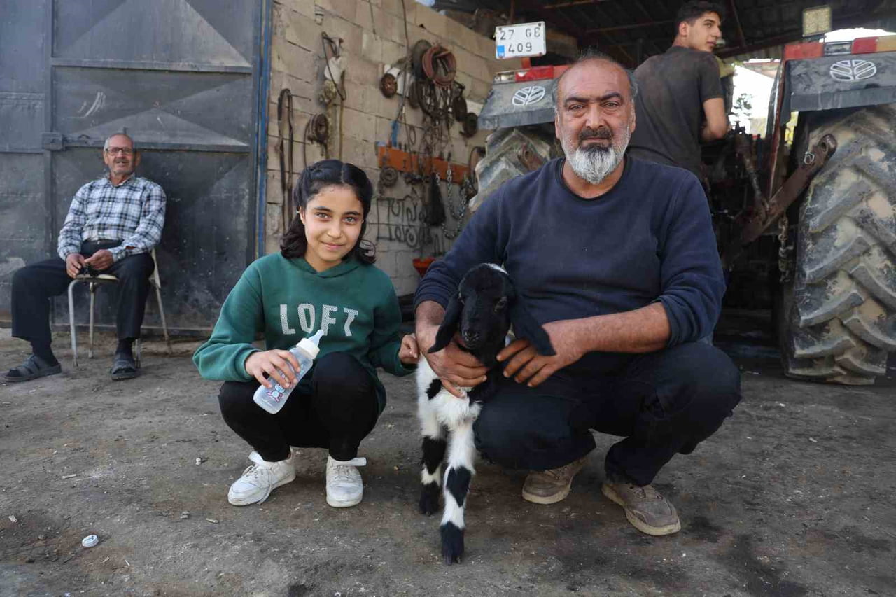 HATAY'DA ANNESİ ÖLEN KUZUYU SAHİPLENEN VE 'KARABAŞ' İSMİNİ VEREN HAKAN ATAY, YEĞENİYLE BİRLİKTE...