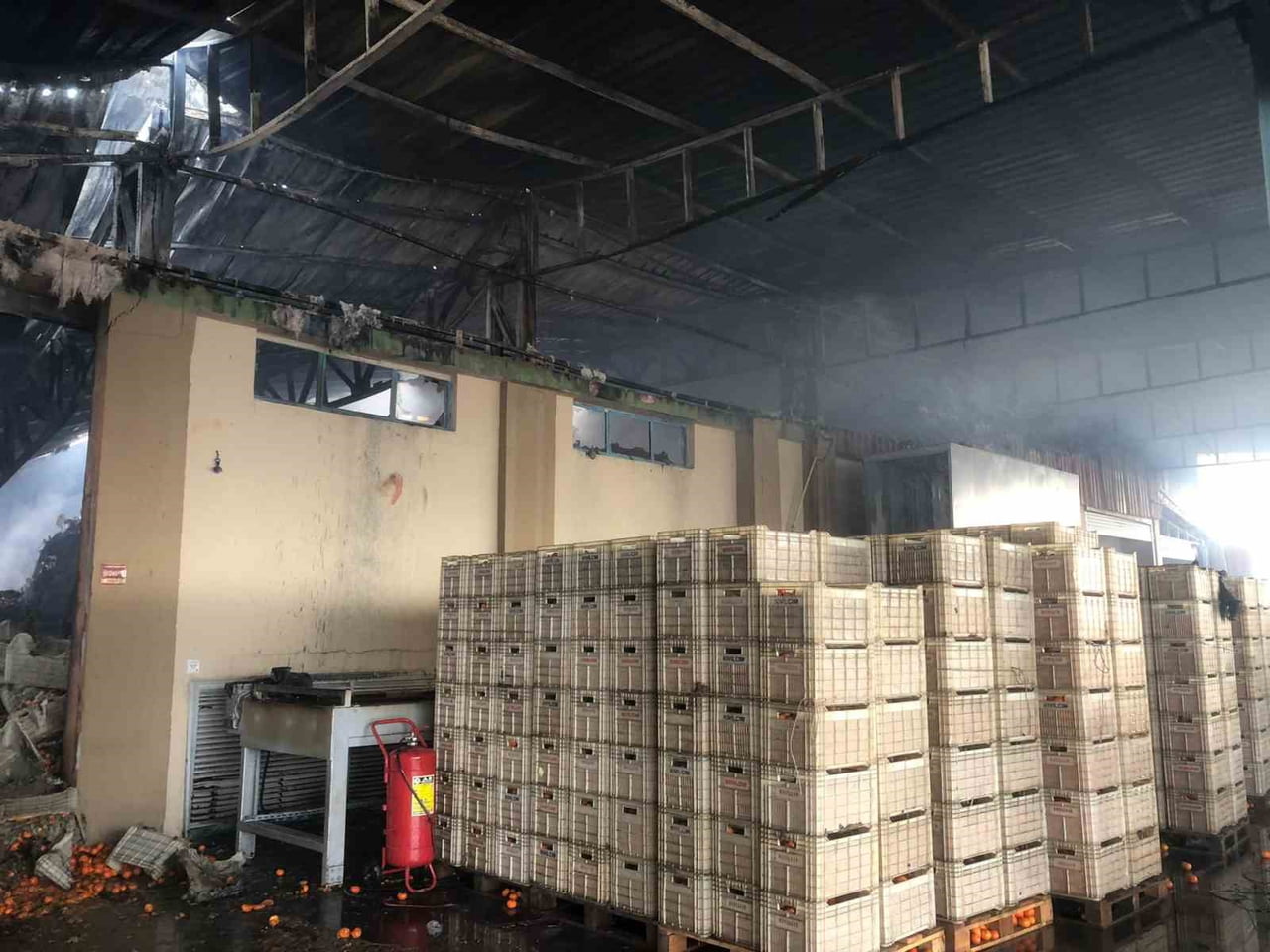 HATAY'IN ERZİN İLÇESİNDE NARENCİYE PAKETLEME FABRİKASINDA ÇIKAN YANGINDA ALEVLERİN YÜKSELDİĞİNİ...