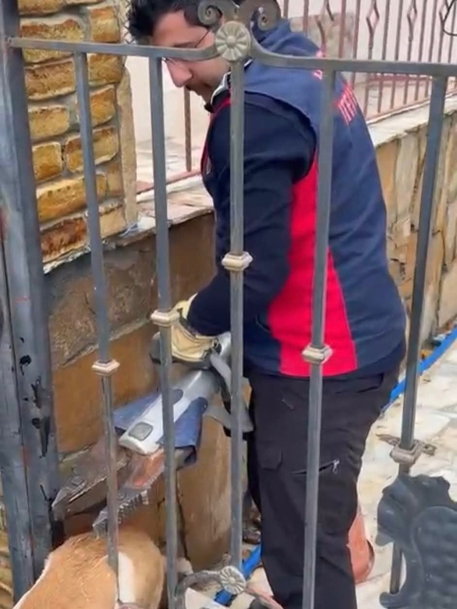 HATAY’IN SAMANDAĞ İLÇESİNDE DEMİR KORKULUKLARA SIKIŞARAK MAHSUR KALAN KÖPEK, İTFAİYE EKİPLERİ...