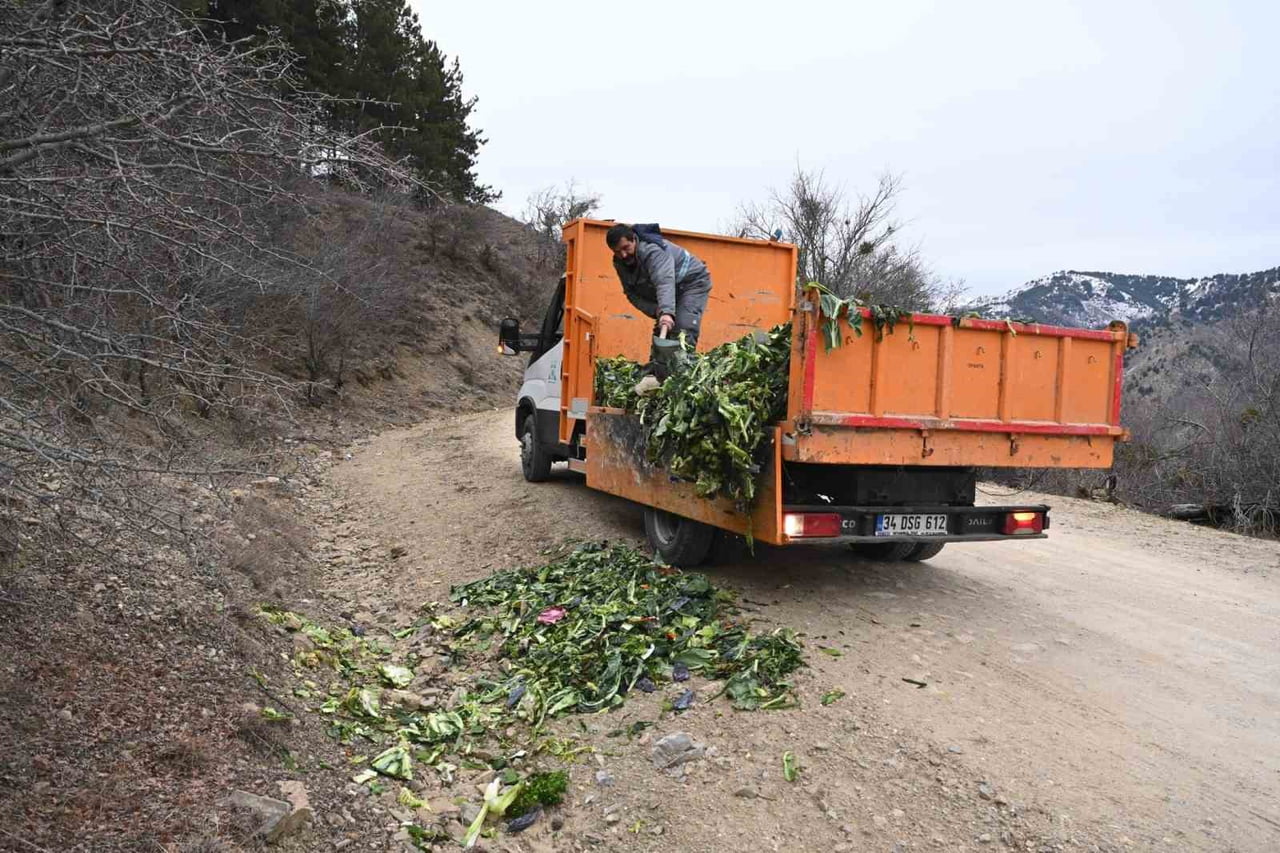 ISPARTA BELEDİYESİ, SOĞUK KIŞ AYLARINDA YİYECEK BULMAKTA ZORLANAN YABAN HAYVANLARINI DA UNUTMADI....