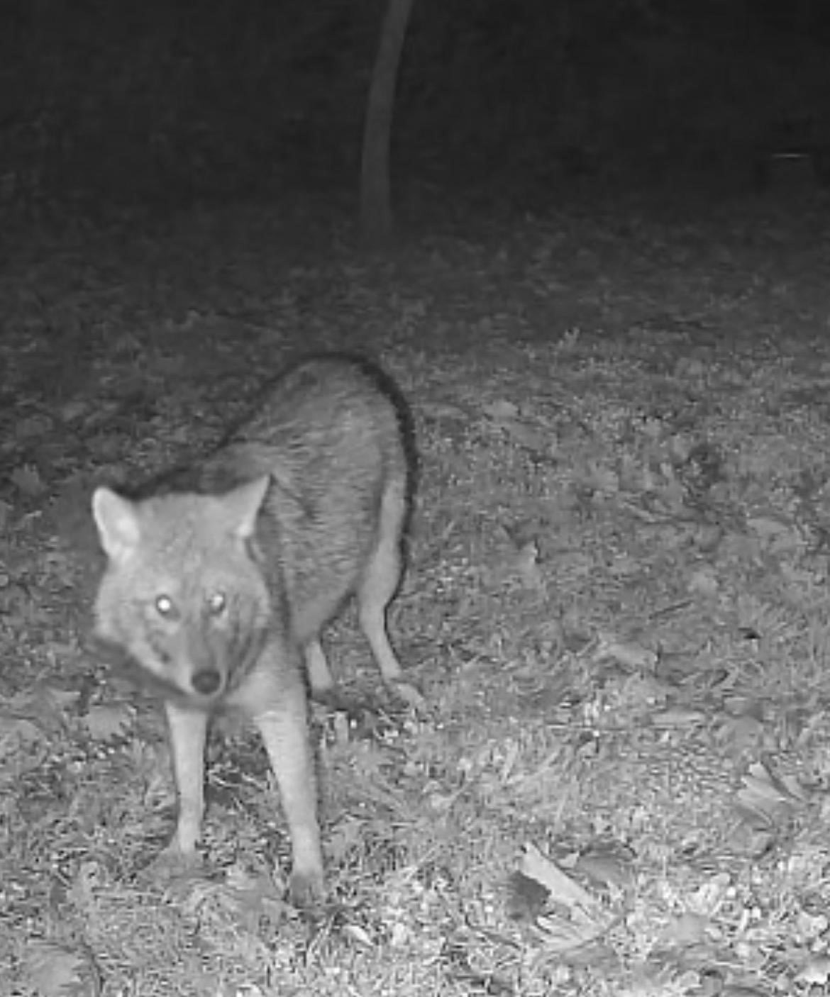 İSTANBUL'UN ÇATALCA İLÇESİNDE BULUNAN TERKOS GÖLÜ KIYISINDA KARAVAN KAMPI YAPAN BİR DOĞA...