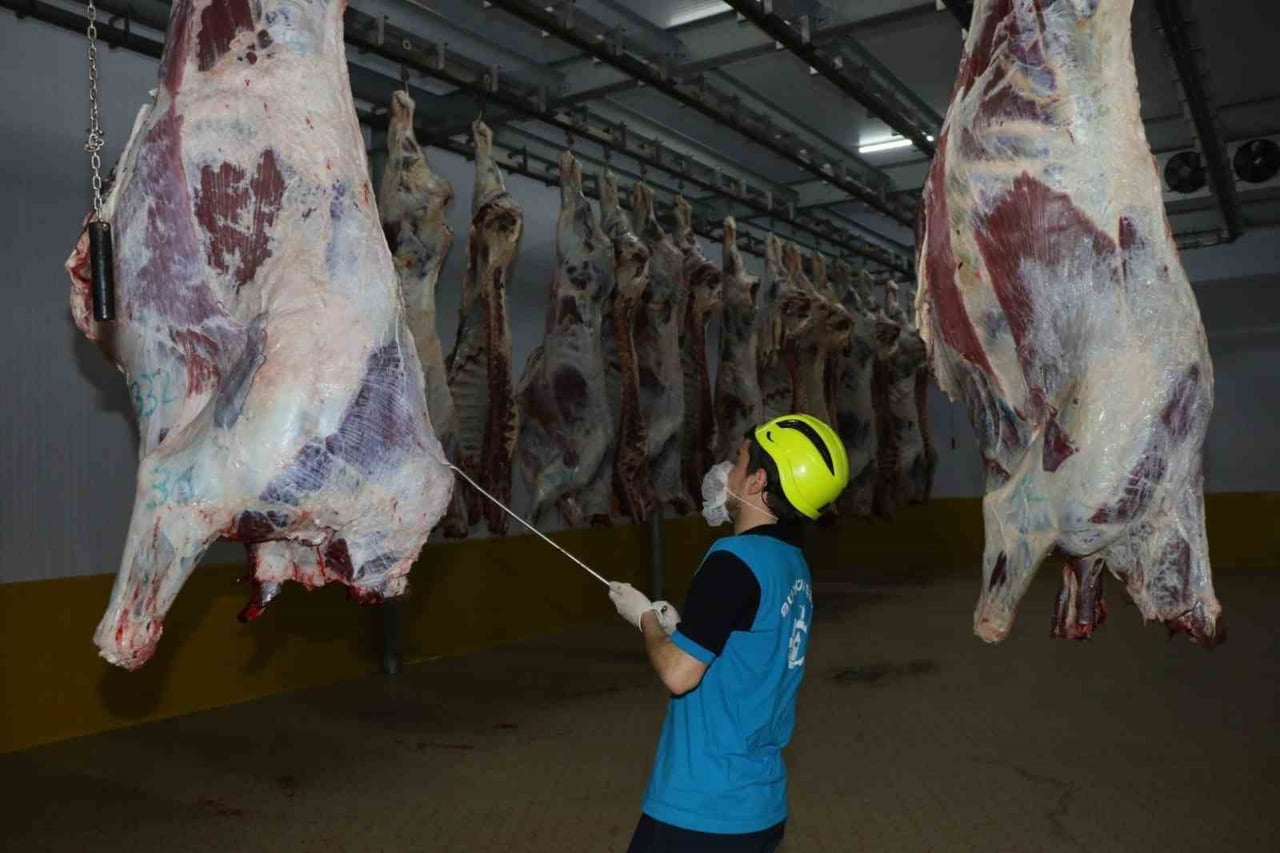 İZMİT MEZBAHASI’NDA 2025 YILINDA KÜÇÜKBAŞ VE BÜYÜKBAŞ OLMAK ÜZERE 6 BİN 29 HAYVAN KESİLİRKEN, ELDE...