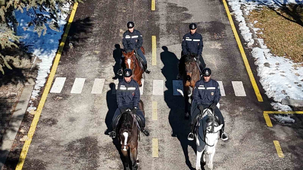 JANDARMA GENEL KOMUTANLIĞI BÜNYESİNDE FAALİYET GÖSTEREN JANDARMA AT VE KÖPEK EĞİTİM MERKEZİ...