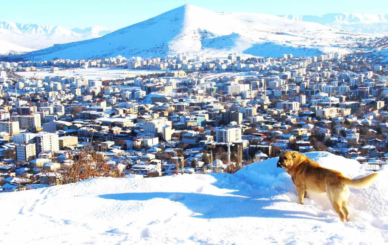KAHRAMANMARAŞ KAR YAĞIŞI SONRASI BEYAZA BÜRÜNDÜ.