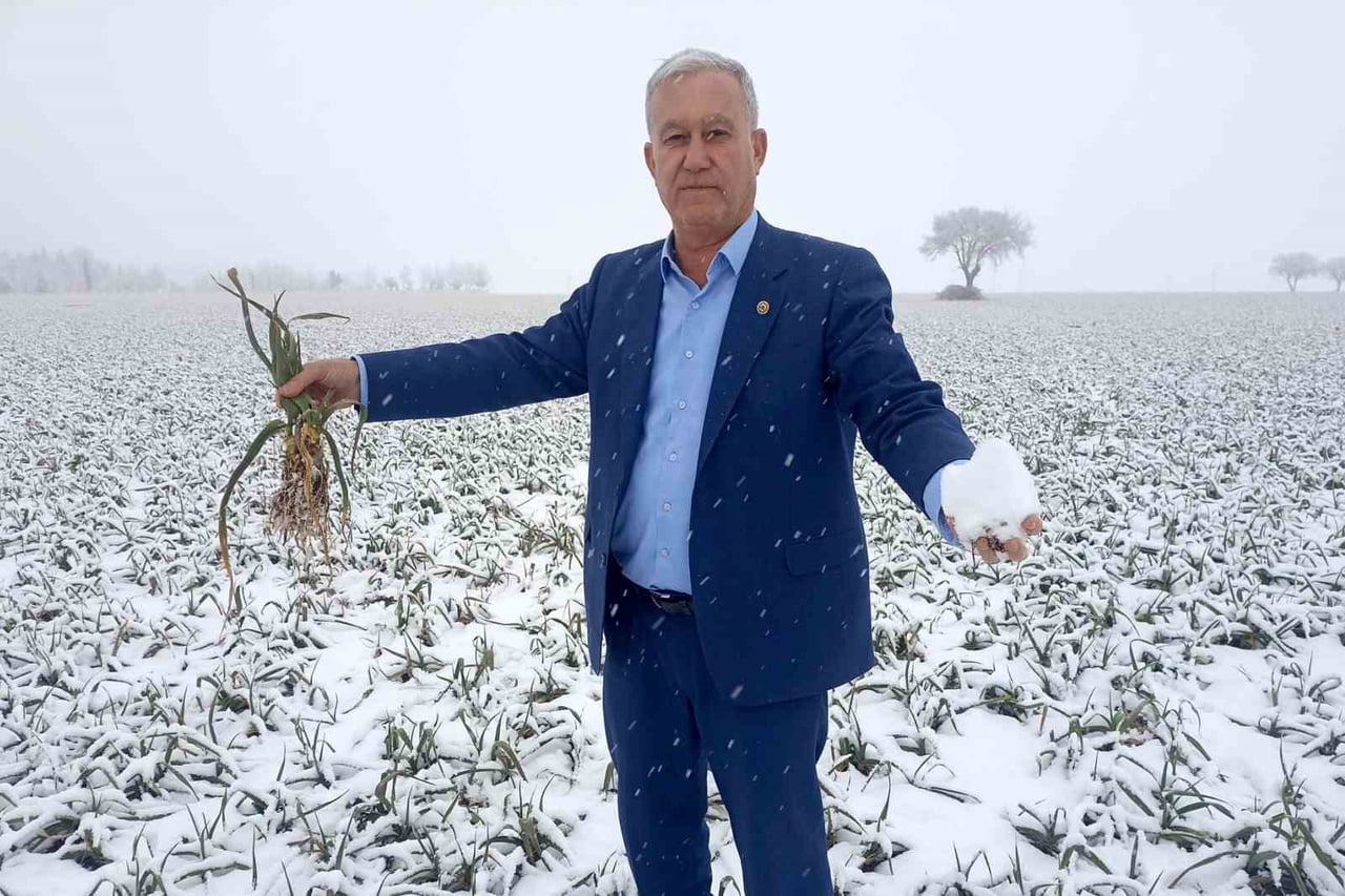 KAR YAĞIŞI, SARIMSAKTA YÜKSEK REKOLTE BEKLENTİSİNİ ARTIRDI