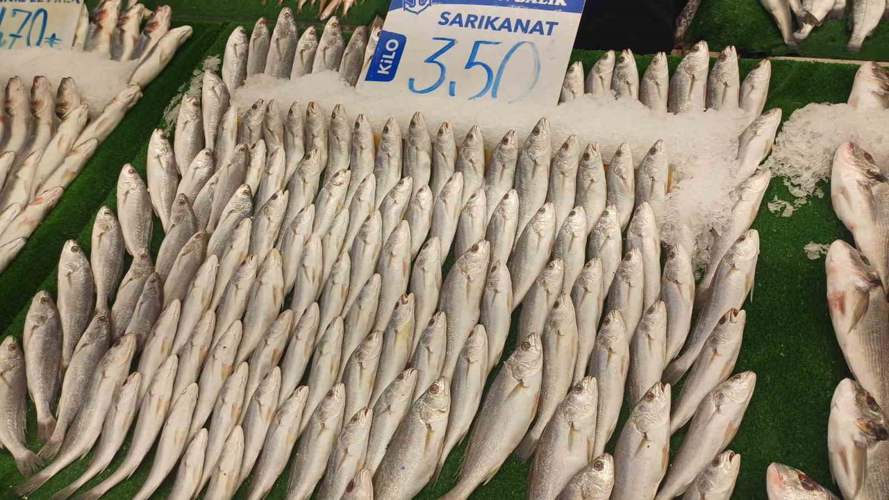 KAR YAĞIŞININ ARTMASIYLA, KAYSERİ’DEKİ TEZGAHLARDA BALIK BOLLUĞU YAŞANIYOR.