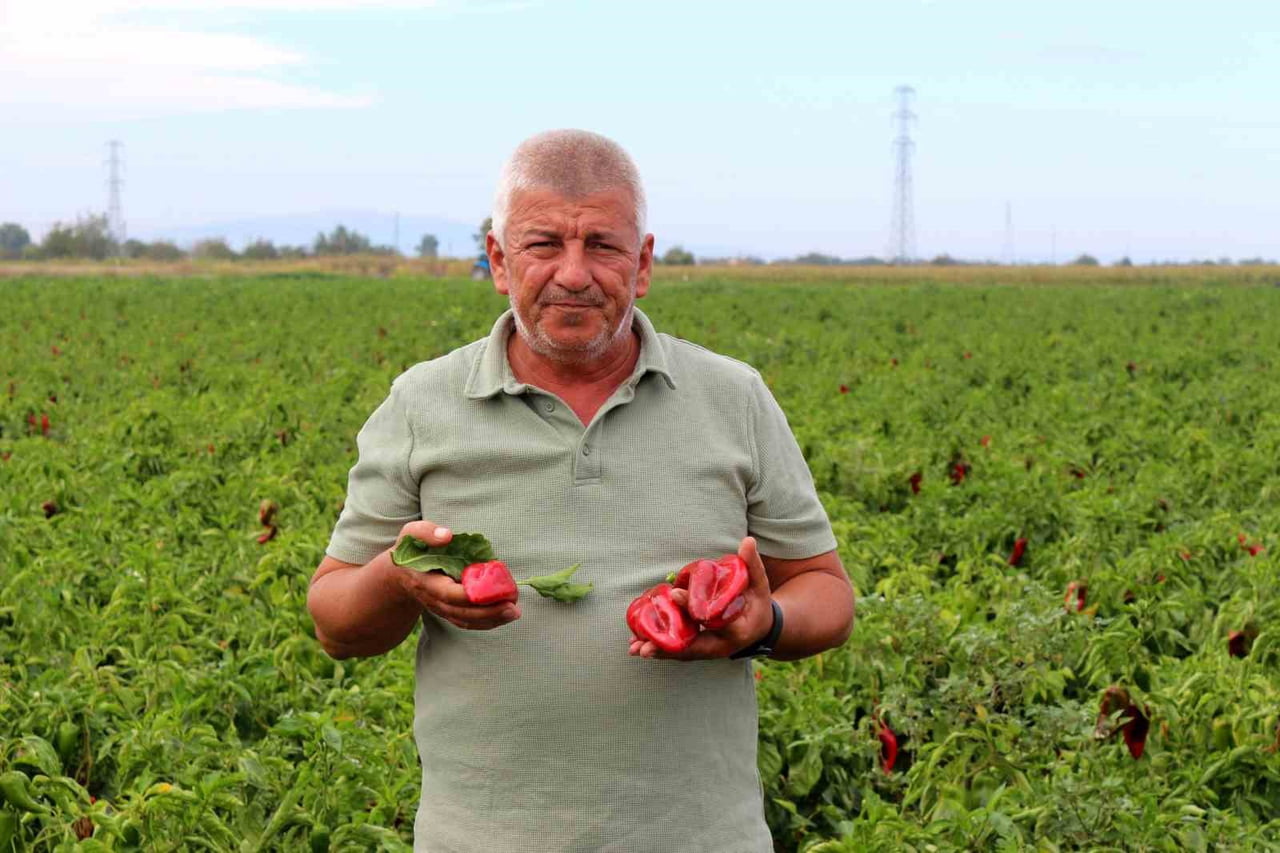 KARACABEY ZİRAAT ODASI İKİNCİ BAŞKANI RAMAZAN DÜZEN, YAPTIĞI BASIN AÇIKLAMASIYLA BURSA VE ÜLKE...