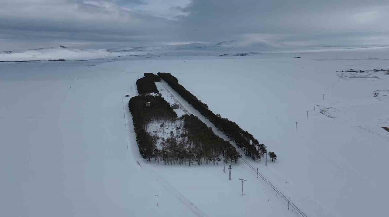 KARS’TA TARİHİ İSTASYONDA 20 BİN ÇAMLIK KIŞ MASALI BÜYÜLÜYOR(IŞIK ÇAPANOĞLU/KARS-İHA)