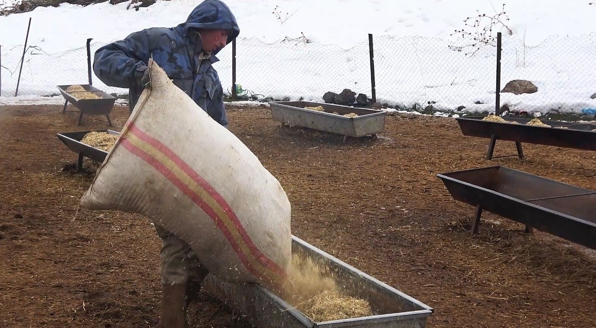 KIYIDÜZÜ KÖYÜ'NDE HAYVANCILIKLA UĞRAŞAN KÖY SAKİNLERİ, YAZ AYLARINI YAYLALARDA GEÇİREN KÜÇÜKBAŞ...