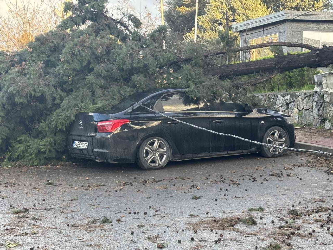 KOCAELİ'NİN GEBZE İLÇESİNDE FIRTINA SEBEBİYLE CADDE ÜZERİNDEKİ BİR AĞAÇ PARK HALİNDEKİ İKİ...