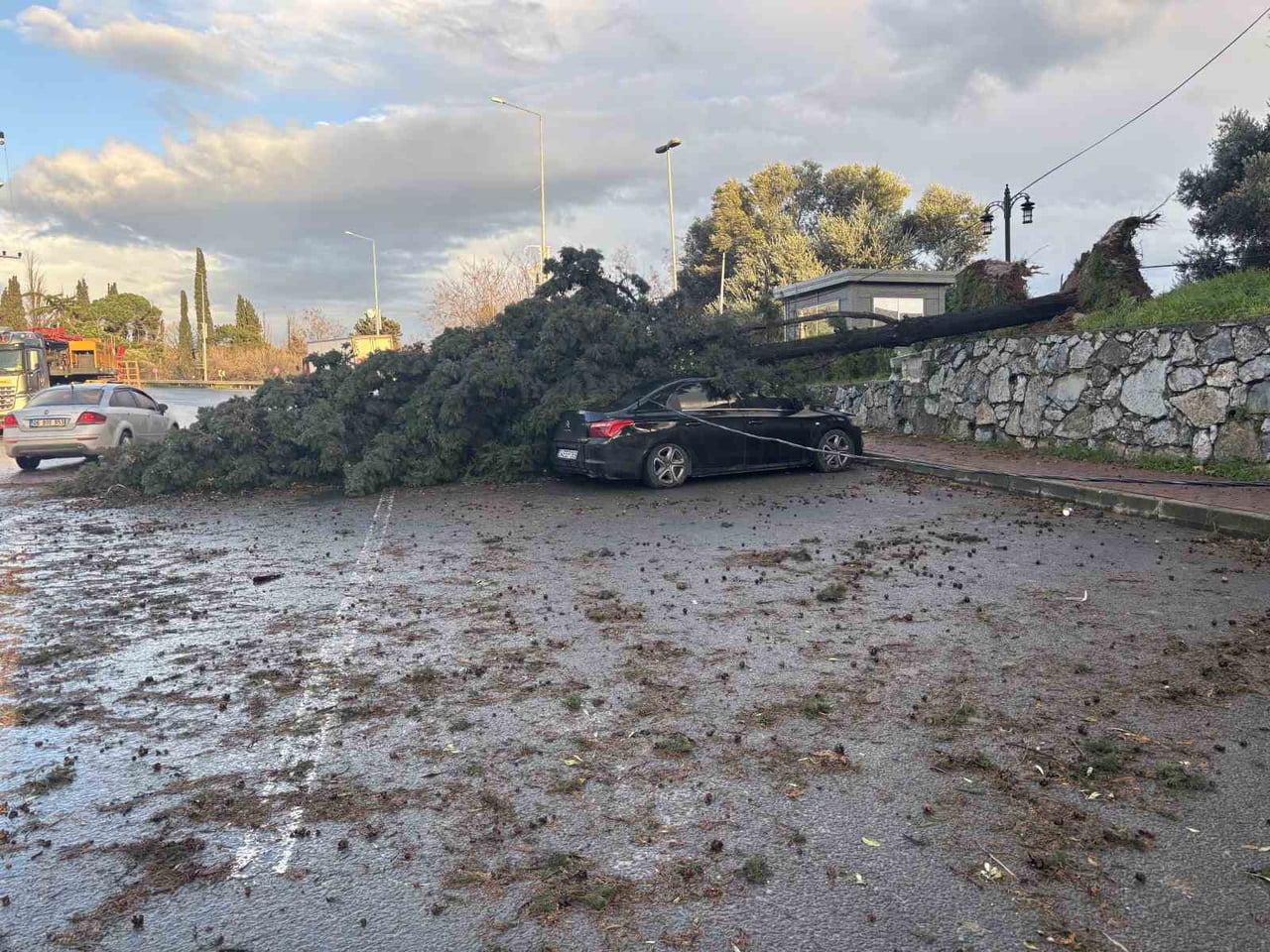 KOCAELİ'NİN GEBZE İLÇESİNDE FIRTINA SEBEBİYLE CADDE ÜZERİNDEKİ BİR AĞAÇ PARK HALİNDEKİ İKİ...