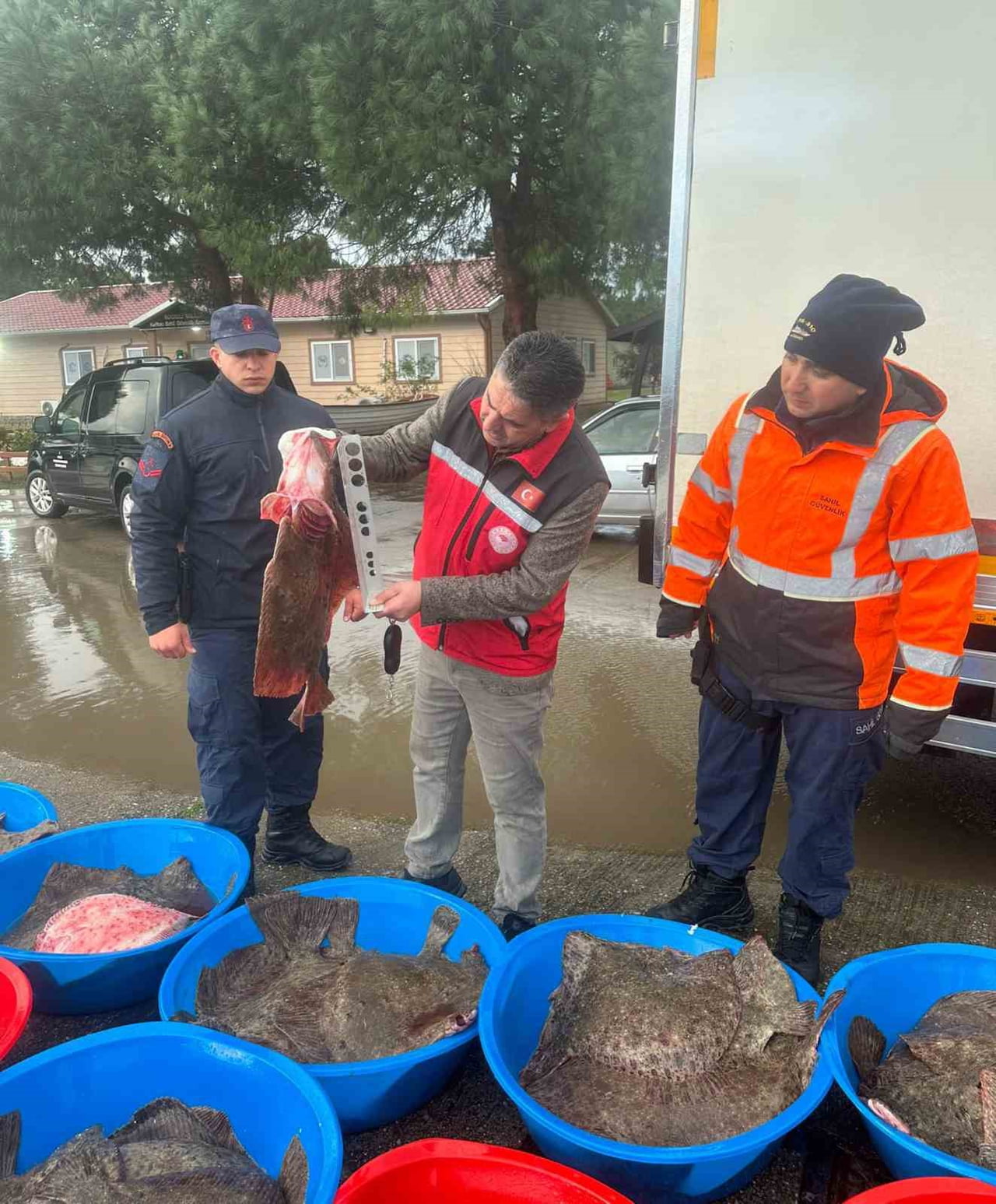 KOCAELİ'NİN KANDIRA İLÇESİNDE GERÇEKLEŞTİRİLEN DENETİMLERDE, YASA DIŞI YOLLARLA AVLANDIĞI TESPİT...