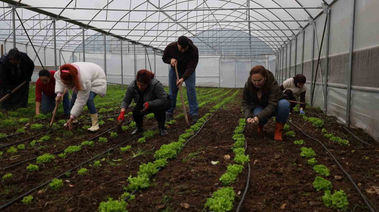 KOCAELİ’DE TARIM AKADEMİSİ İLE TARIMA YENİ BİR SOLUK GETİRİLİYOR. GENÇLER VE KADINLAR İÇİN...