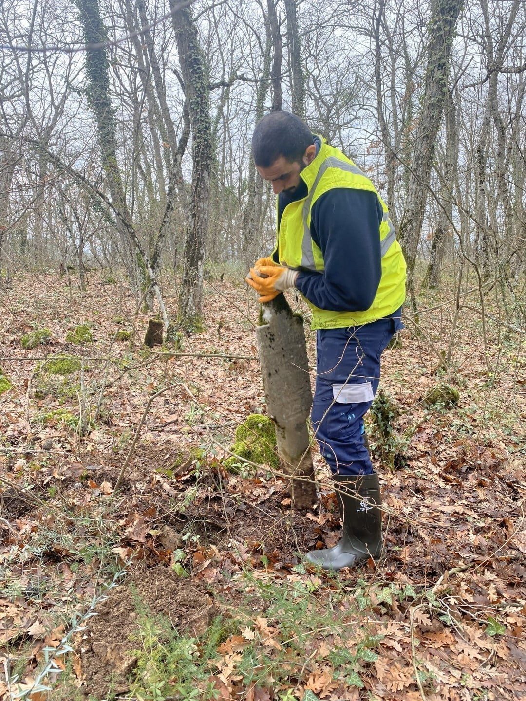 KOCAELİ’NİN KARAMÜRSEL İLÇESİNDE BULUNAN ASIRLIK OSMANLI MEZARLARI, YÜRÜTÜLEN KORUMA VE DÜZENLEME...