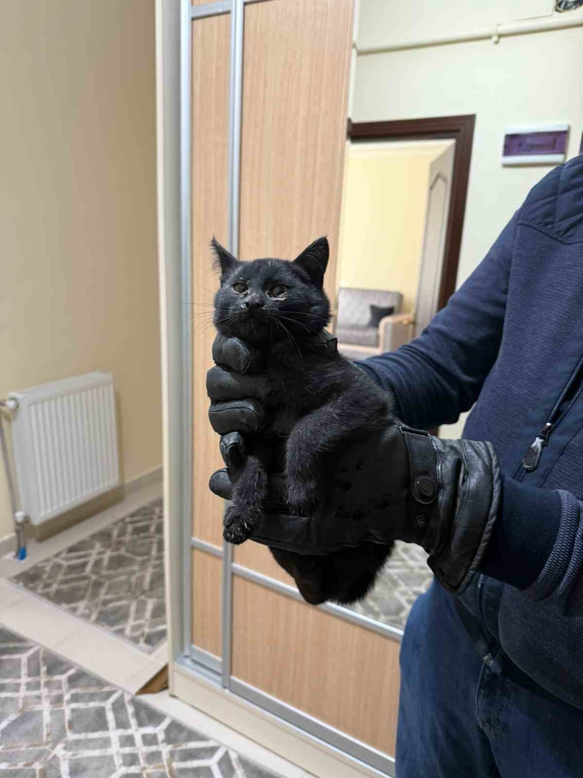 KONYA'DA 4 KATLI BİR APARTMANIN BACISINA GİREN KEDİ İTFAİYE EKİPLERİNİN 6 SAATLİK UĞRAŞI SONRASI...