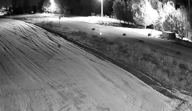 KONYA’NIN EREĞLİ İLÇESİNDE ŞEHİR MERKEZİNE YAKLAŞIK 5 KİLOMETRE UZAKLIKTA GÖRÜLEN KURTLAR...