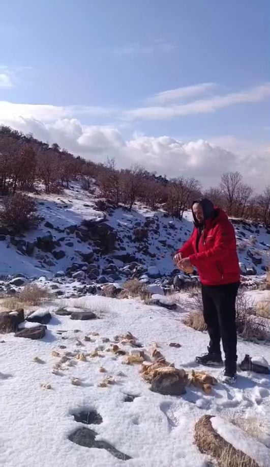 KONYA’NIN KARAPINAR İLÇESİNDE ETKİLİ OLAN KAR YAĞIŞI, KARACADAĞ BÖLGESİNDE YAŞAYAN YABAN...