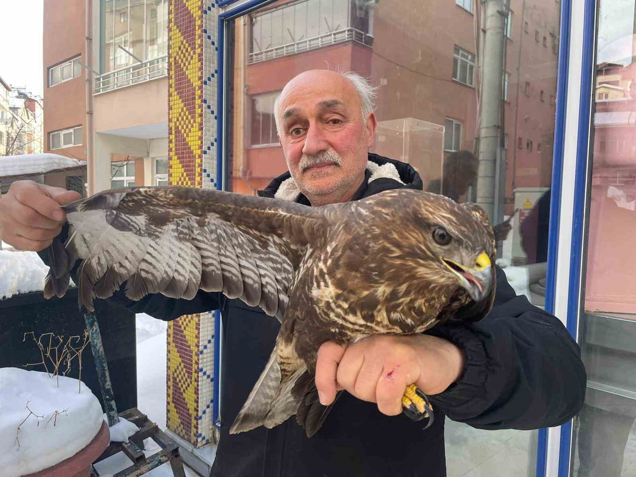 KORGAN İLÇESİNDE PASTANESİ BULUNAN ESNAF ALİ SESİŞEN, BİR SÜRE ÖNCE KANADINDAN YARALI VE YORGUN...