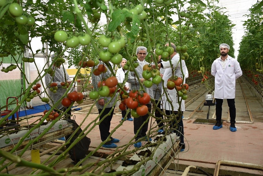MANİSA’NIN SALİHLİ İLÇE KAYMAKAMI ALİ GÜLDOĞAN, YILIN 12 AYI TARIMSAL ÜRETİMİN GERÇEKLEŞTİRİLDİĞİ...