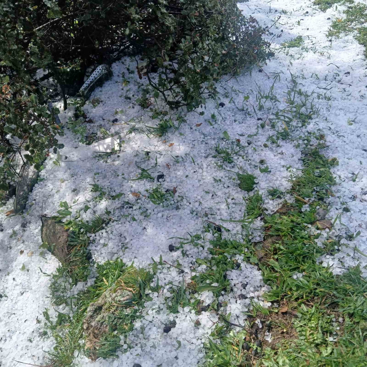 MANİSA’NIN SARIGÖL İLÇESİ VE ÇEVRESİNDE SON GÜNLERDE ETKİLİ OLAN YAĞIŞLAR, DERELER ARACILIĞIYLA...