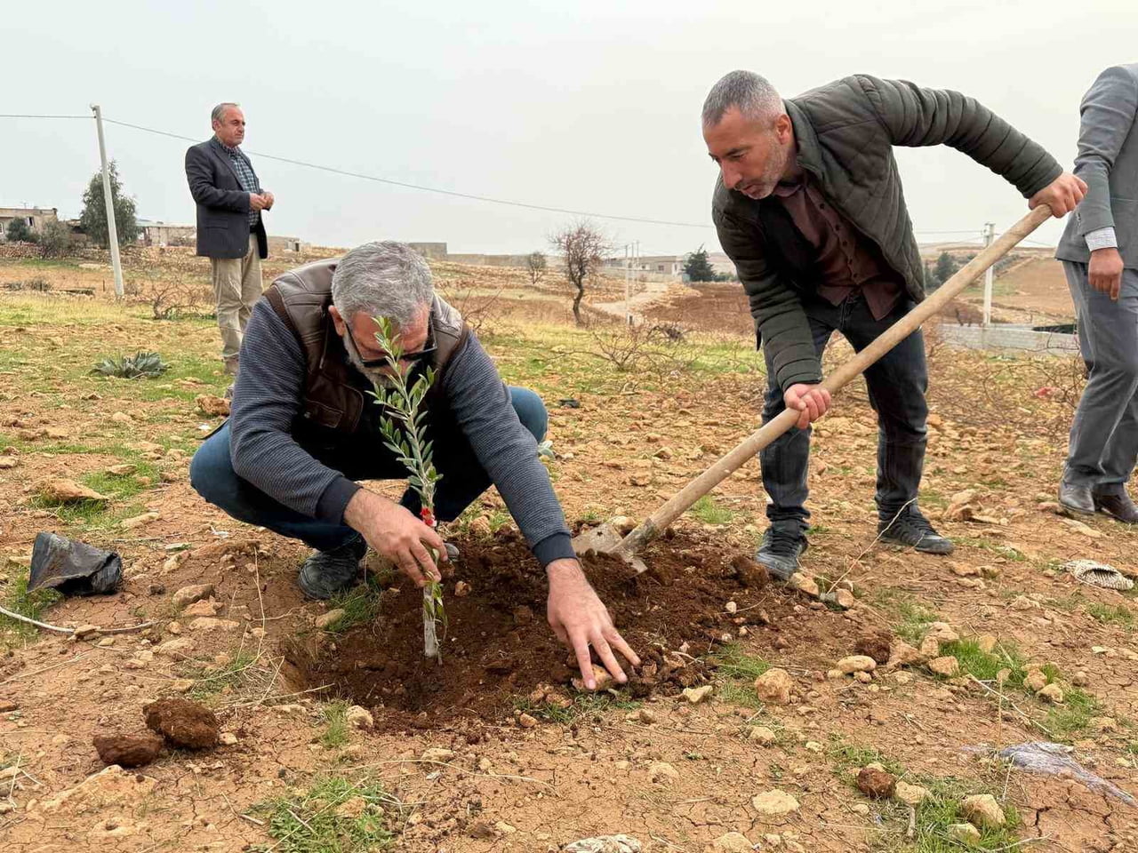 MARDİN BÜYÜKŞEHİR BELEDİYESİ TARAFINDAN HAYATA GEÇİRİLEN ZEYTİNLİ SIFIR ATIK KÖYÜ PROJESİ...