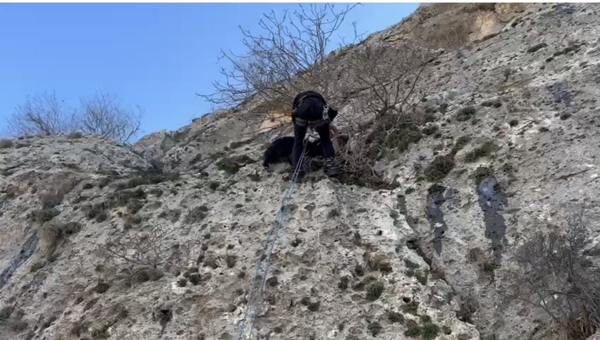 MARDİN’İN MİDYAT İLÇESİNE BAĞLI SİVRİCE MAHALLESİ’NDE DAĞLIK ALANDA MAHSUR KALAN BİR KEÇİ, AFAD...